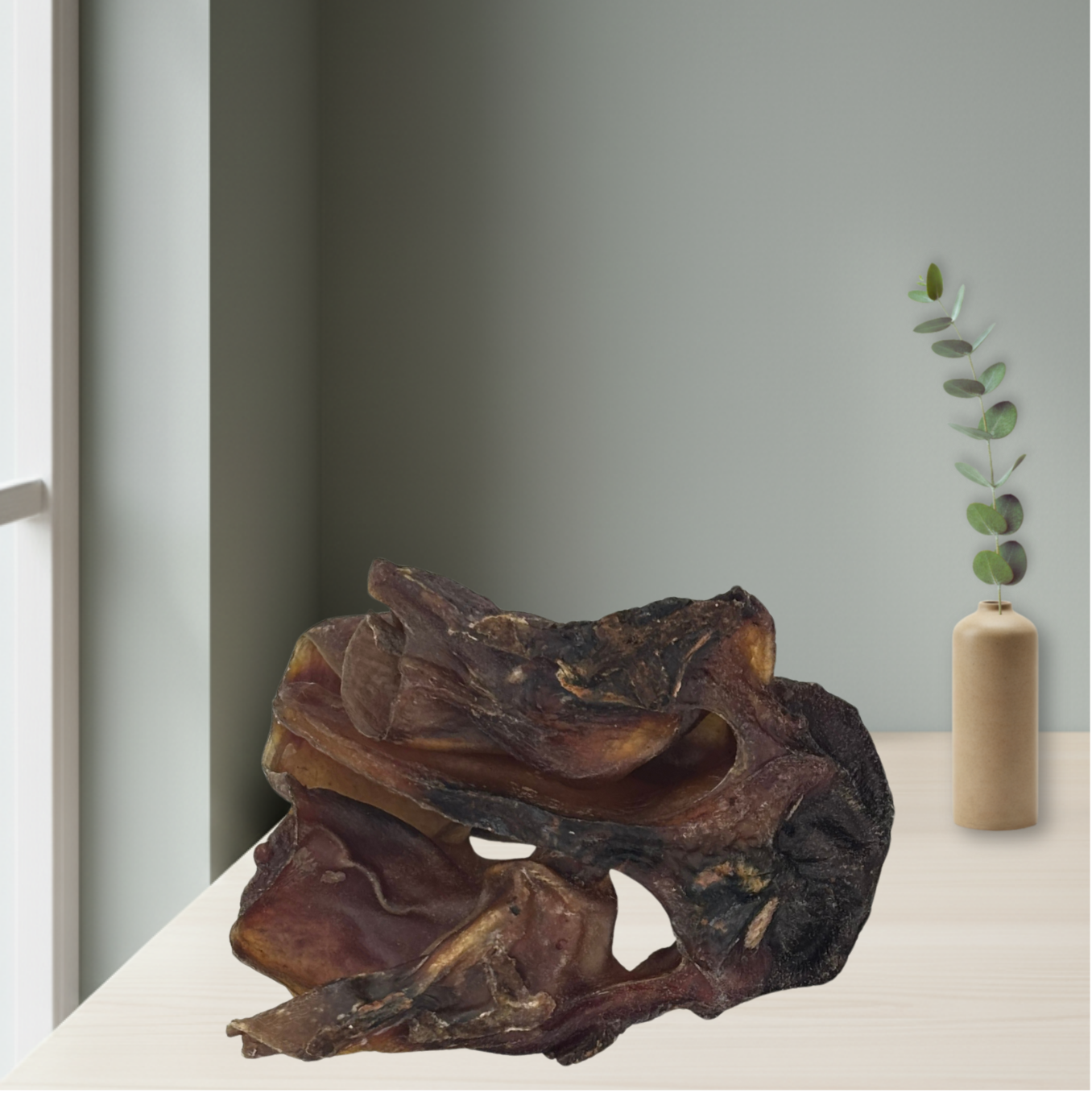 Rindernasenknorpel – knackiger Natur-Kausnack für Hunde