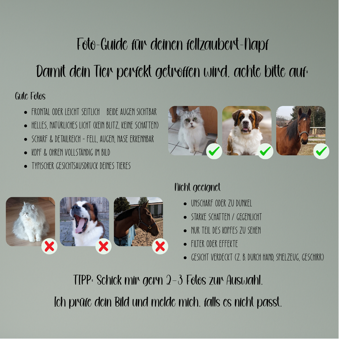 Personalisierter Napf aus Keramik – Hundenapf oder Katzennapf