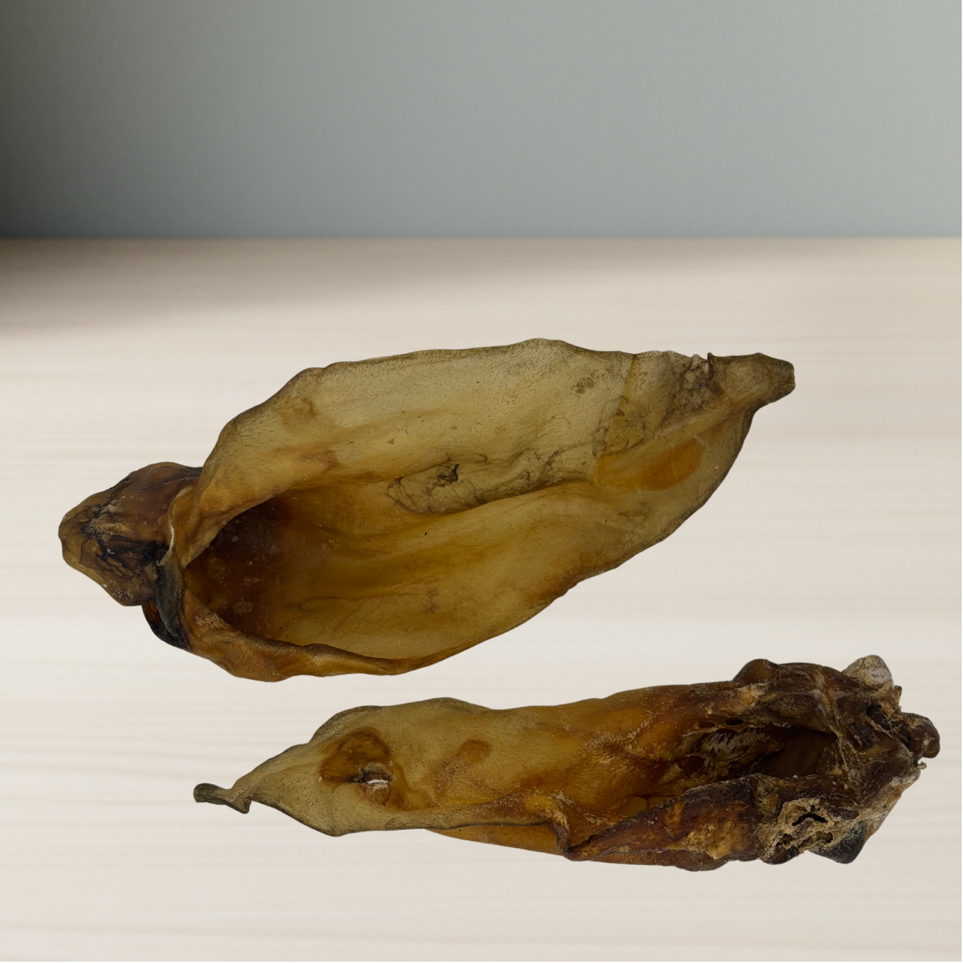 Rinderohr mit Muschelansatz – natürlicher Kauspaß für Hunde